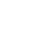 Fast turn around icon