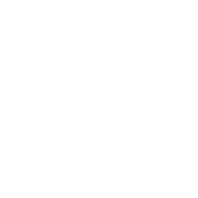 Quality printing icon